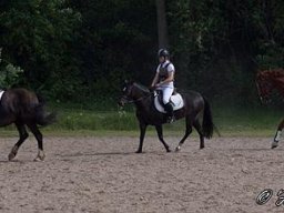 img-00391-537
